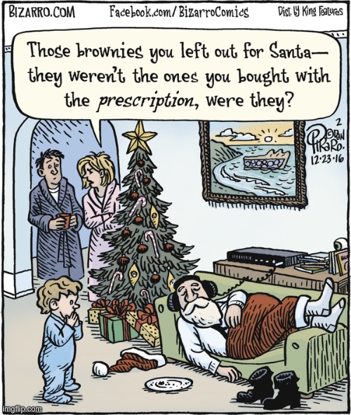 Bizarro Comics | image tagged in comics,bizarro comics,santa,brownies,sleeping,prescription | made w/ Imgflip meme maker