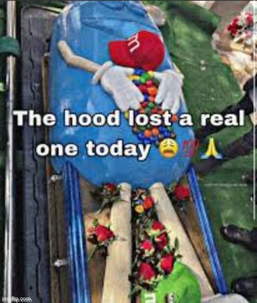 The hood lost a real one today | image tagged in the hood lost a real one today | made w/ Imgflip meme maker