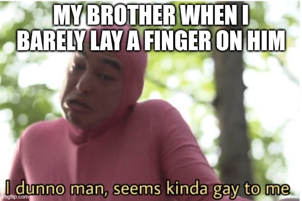 I dunno man seems kinda gay to me | MY BROTHER WHEN I BARELY LAY A FINGER ON HIM | image tagged in i dunno man seems kinda gay to me | made w/ Imgflip meme maker
