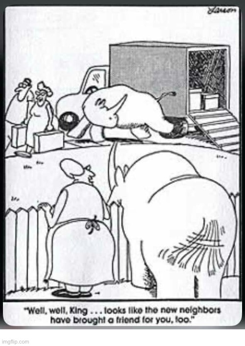 Two pet rhinos in the same neighborhood? What’re the odds of that… | image tagged in the far side,comics,new neighbors,rhinos,what are the odds | made w/ Imgflip meme maker