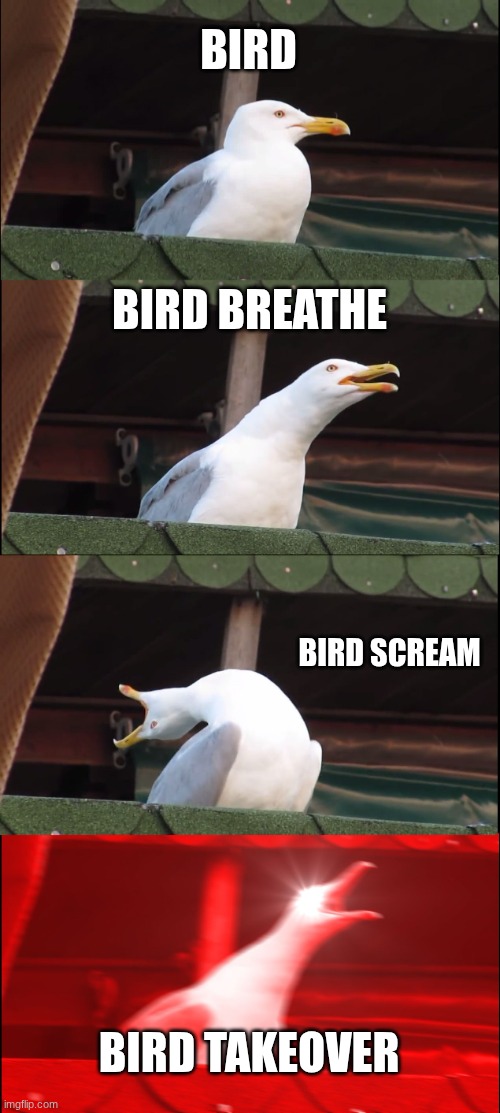 bird | BIRD; BIRD BREATHE; BIRD SCREAM; BIRD TAKEOVER | image tagged in memes,inhaling seagull | made w/ Imgflip meme maker