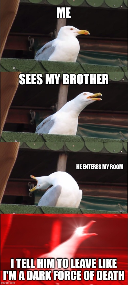 Inhaling Seagull Meme | ME; SEES MY BROTHER; HE ENTERES MY ROOM; I TELL HIM TO LEAVE LIKE I'M A DARK FORCE OF DEATH | image tagged in memes,inhaling seagull | made w/ Imgflip meme maker