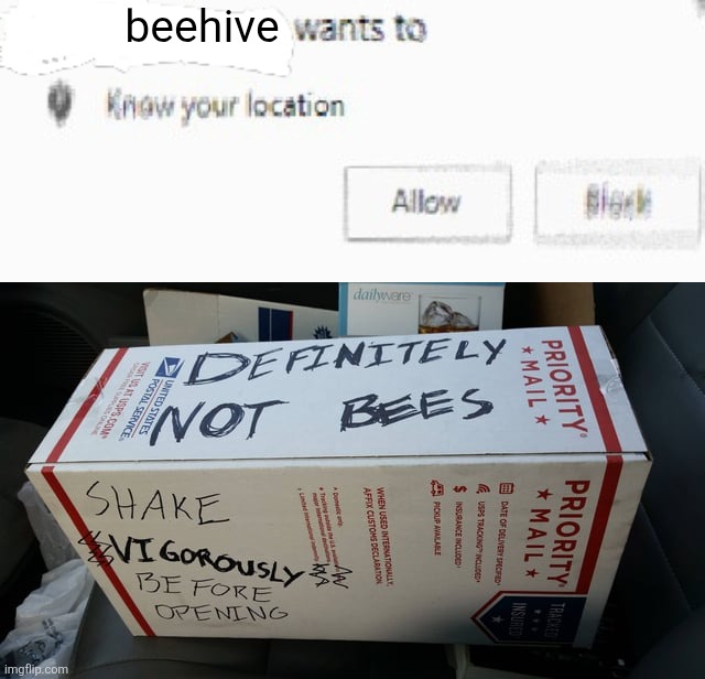 Special Delivery | beehive | image tagged in x wants to know your location,bees,beehive wants to know your location | made w/ Imgflip meme maker
