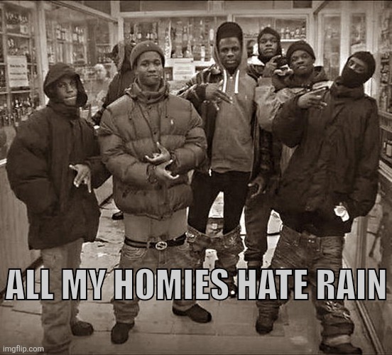 All My Homies Hate | ALL MY HOMIES HATE RAIN | image tagged in all my homies hate | made w/ Imgflip meme maker