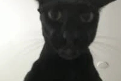 Larry Blank Meme Template