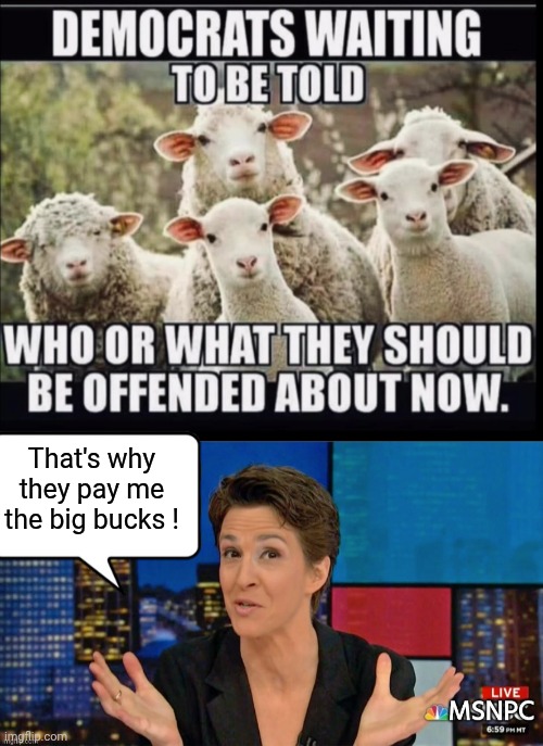 That's what they pay him for. | That's why they pay me the big bucks ! | image tagged in madcow looking guilty,sheeple | made w/ Imgflip meme maker