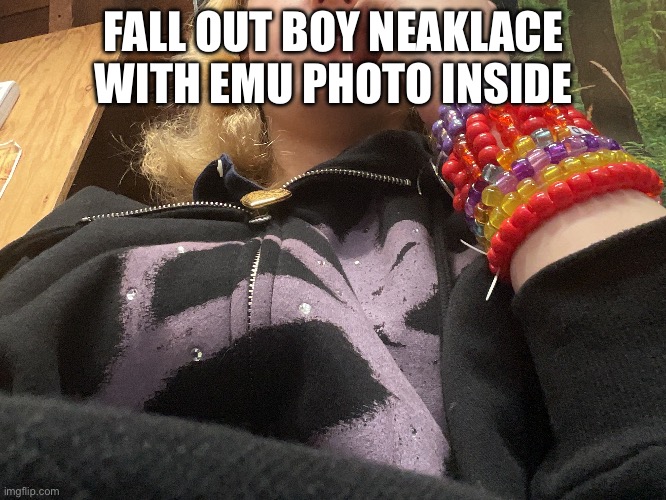 iykyk | FALL OUT BOY NEAKLACE WITH EMU PHOTO INSIDE | made w/ Imgflip meme maker