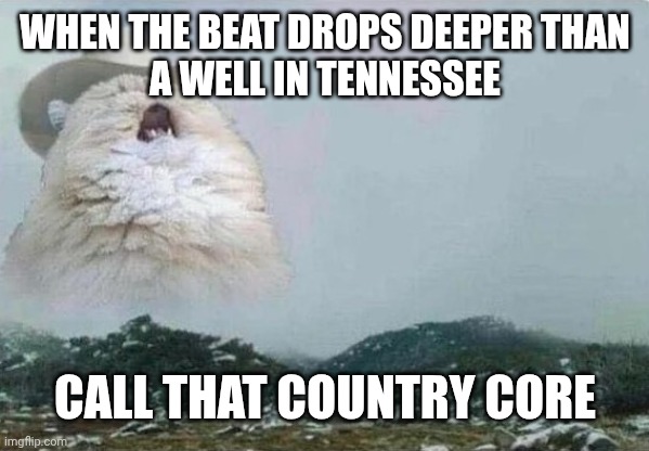 Country Cat | WHEN THE BEAT DROPS DEEPER THAN
A WELL IN TENNESSEE; CALL THAT COUNTRY CORE | image tagged in country cat | made w/ Imgflip meme maker