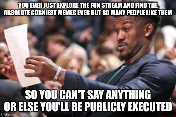 What am I reading | YOU EVER JUST EXPLORE THE FUN STREAM AND FIND THE ABSOLUTE CORNIEST MEMES EVER BUT SO MANY PEOPLE LIKE THEM; SO YOU CAN'T SAY ANYTHING OR ELSE YOU'LL BE PUBLICLY EXECUTED | image tagged in what am i reading | made w/ Imgflip meme maker