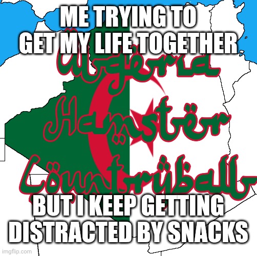 ALGERIA_HAMSTER_COUNTRYBALL Logo | ME TRYING TO GET MY LIFE TOGETHER; BUT I KEEP GETTING DISTRACTED BY SNACKS | image tagged in algeria_hamster_countryball logo | made w/ Imgflip meme maker