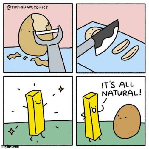 Fry | image tagged in fries,french fries,potato,comics,comics/cartoons,natural | made w/ Imgflip meme maker