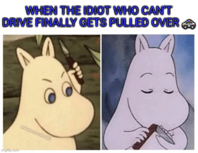 WHEN THE IDIOT WHO CAN'T DRIVE FINALLY GETS PULLED OVER 🚓 | image tagged in driving | made w/ Imgflip meme maker