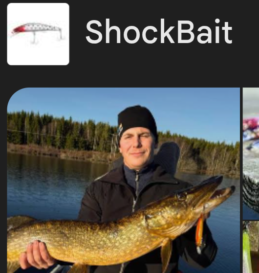 shock bait Blank Meme Template