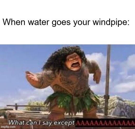 I HATEE WHEN IT HAPPENS. | When water goes your windpipe: | image tagged in memes,what can i say except aaaaaaaaaaa,funny,accurate,relatable,water | made w/ Imgflip meme maker