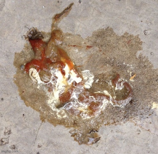 Yakuda chickenshit JPP | image tagged in yakuda chickenshit jpp | made w/ Imgflip meme maker