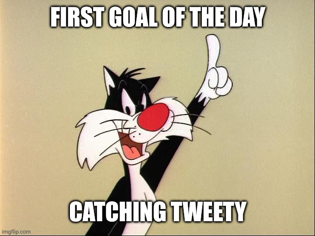 sylvester | FIRST GOAL OF THE DAY CATCHING TWEETY | image tagged in sylvester | made w/ Imgflip meme maker