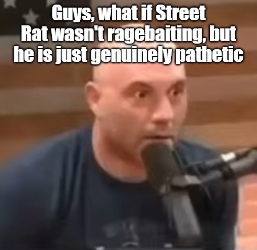 Joe Rogan Staring | Guys, what if Street Rat wasn't ragebaiting, but he is just genuinely pathetic | image tagged in joe rogan staring | made w/ Imgflip meme maker
