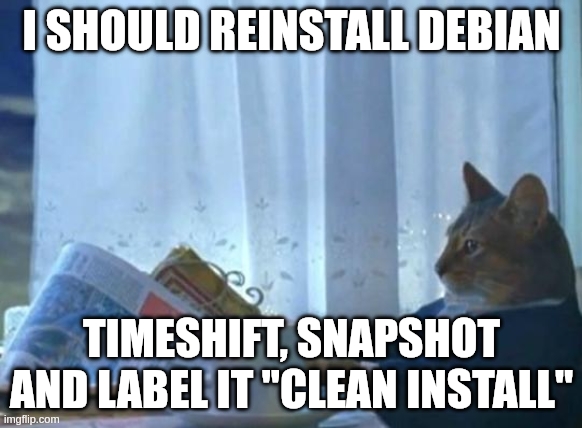 Cat newspaper | I SHOULD REINSTALL DEBIAN; TIMESHIFT, SNAPSHOT AND LABEL IT "CLEAN INSTALL" | image tagged in cat newspaper | made w/ Imgflip meme maker