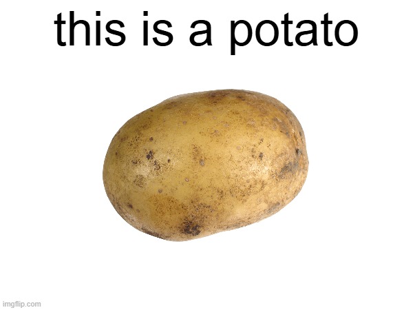 this is a potato | made w/ Imgflip meme maker