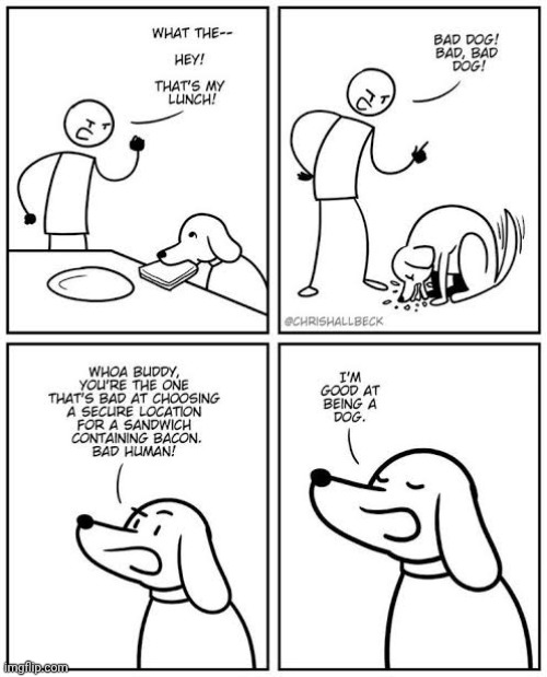 Samwitch | image tagged in sandwich,dog,dogs,sandwiches,comics,comics/cartoons | made w/ Imgflip meme maker