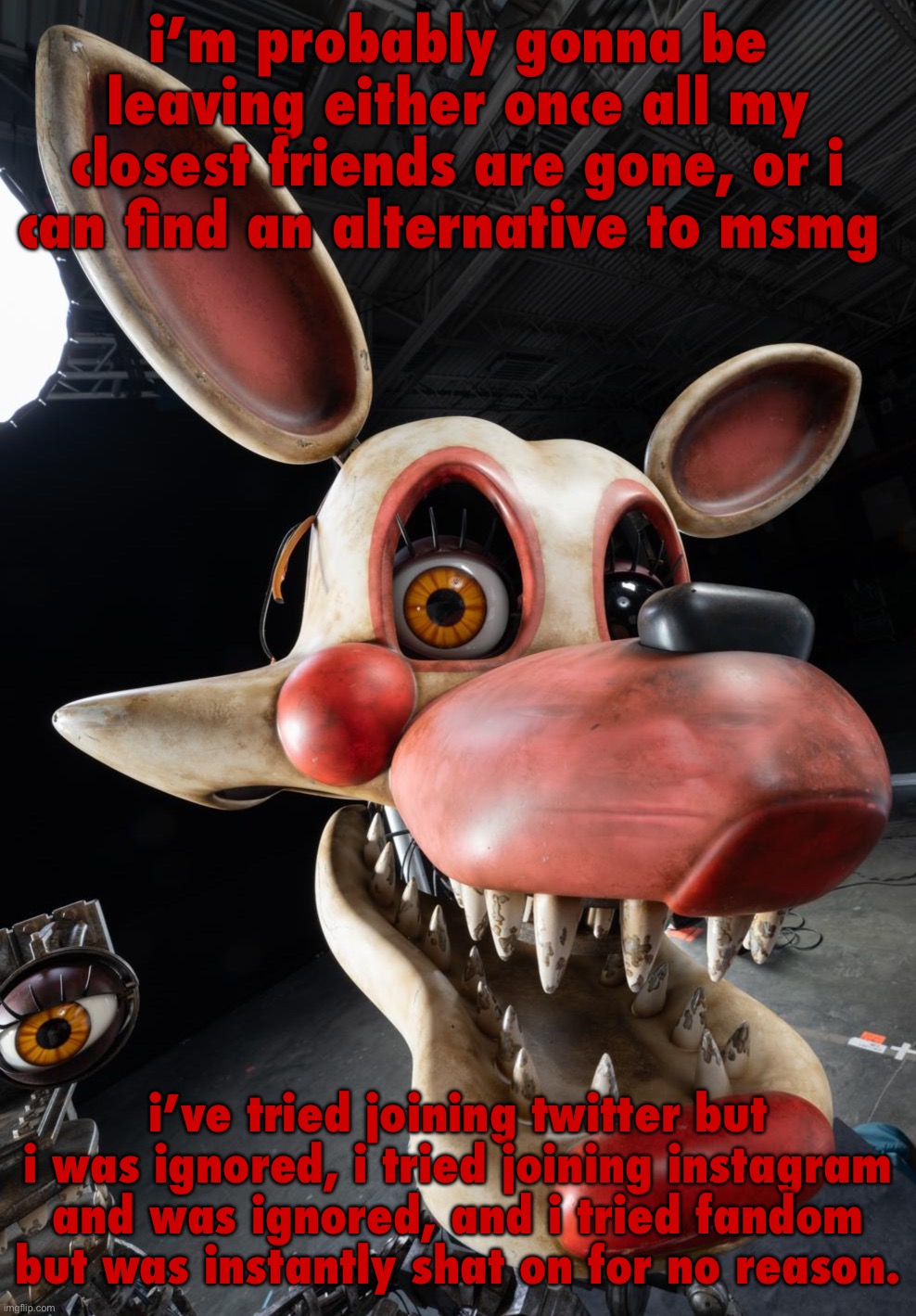 ignore that mangle has john cena on them | i’m probably gonna be leaving either once all my closest friends are gone, or i can find an alternative to msmg; i’ve tried joining twitter but i was ignored, i tried joining instagram and was ignored, and i tried fandom but was instantly shat on for no reason. | image tagged in mango | made w/ Imgflip meme maker