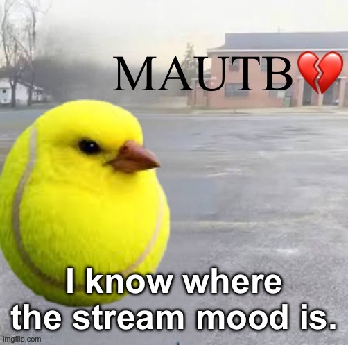 Mods Asleep, Upvote Tennis Bird | I know where the stream mood is. | image tagged in mods asleep upvote tennis bird | made w/ Imgflip meme maker