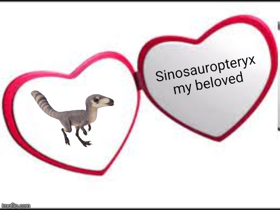 My beloved | Sinosauropteryx my beloved | image tagged in my beloved | made w/ Imgflip meme maker
