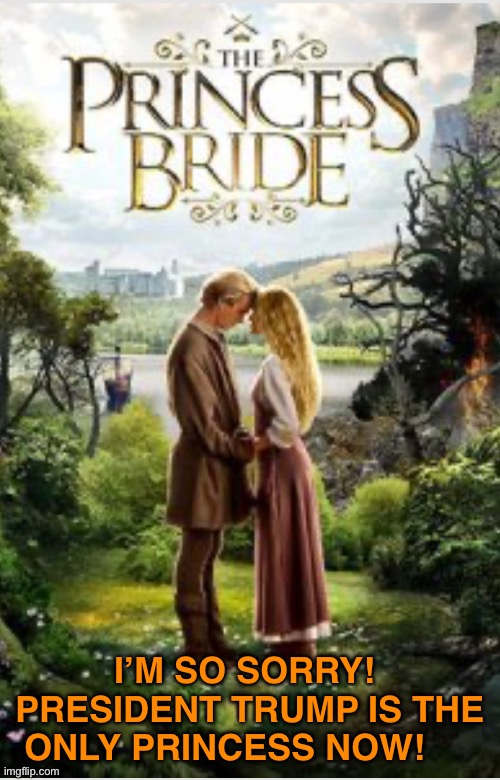 I’M SO SORRY!  PRESIDENT TRUMP IS THE ONLY PRINCESS NOW! | made w/ Imgflip meme maker