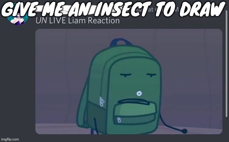 UN LIVE Liam reaction | GIVE ME AN INSECT TO DRAW | image tagged in un live liam reaction | made w/ Imgflip meme maker