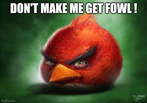 Realistic Red Angry Birds | DON'T MAKE ME GET FOWL ! | image tagged in realistic red angry birds | made w/ Imgflip meme maker
