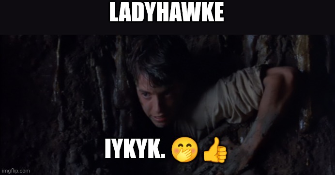Ladyhawke | LADYHAWKE IYKYK. ?? | image tagged in ladyhawke | made w/ Imgflip meme maker