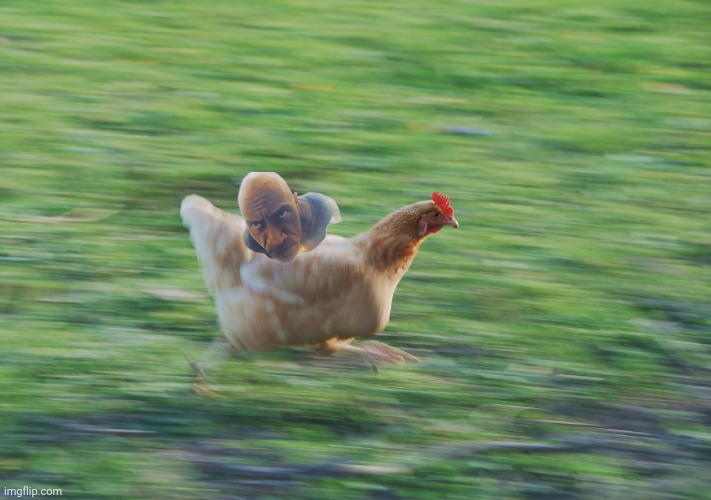 Running Chicken | image tagged in running chicken | made w/ Imgflip meme maker