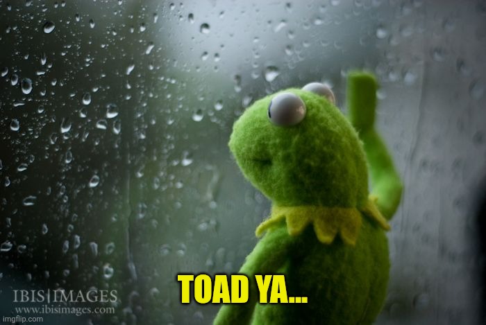kermit window | TOAD YA... | image tagged in kermit window | made w/ Imgflip meme maker