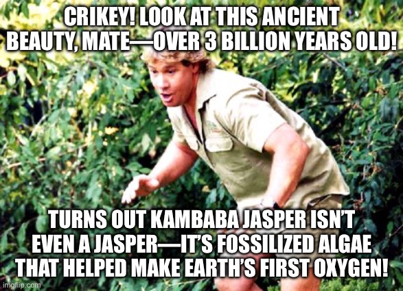 It’s fossilized algae that helped make Earth’s first oxygen—now that’s ancient science! | CRIKEY! LOOK AT THIS ANCIENT BEAUTY, MATE—OVER 3 BILLION YEARS OLD! TURNS OUT KAMBABA JASPER ISN’T EVEN A JASPER—IT’S FOSSILIZED ALGAE THAT HELPED MAKE EARTH’S FIRST OXYGEN! | image tagged in crocodile hunter steve irwin,crystal,history,science,oxygen,evolution | made w/ Imgflip meme maker