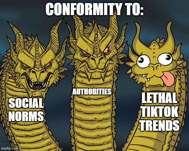 Conformity backfiring because of social media. | CONFORMITY TO:; AUTHORITIES; LETHAL TIKTOK TRENDS; SOCIAL NORMS | image tagged in three-headed dragon | made w/ Imgflip meme maker