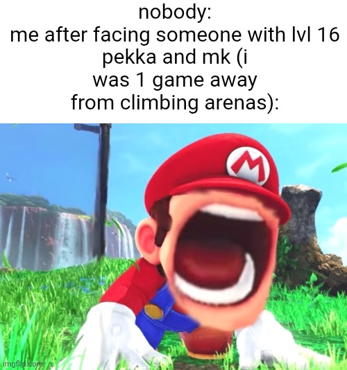 i once faced a lvl 14 balloon player in arena 14 | nobody:

me after facing someone with lvl 16 pekka and mk (i was 1 game away from climbing arenas): | image tagged in mario screaming,clash royale | made w/ Imgflip meme maker