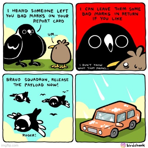 Bad birb marks | image tagged in birds,marks,report card,bird,comics,comics/cartoons | made w/ Imgflip meme maker