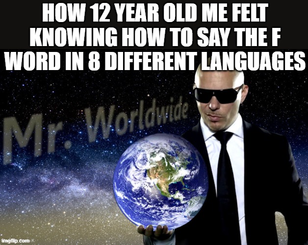 Mr Worldwide | HOW 12 YEAR OLD ME FELT KNOWING HOW TO SAY THE F WORD IN 8 DIFFERENT LANGUAGES | image tagged in mr worldwide | made w/ Imgflip meme maker