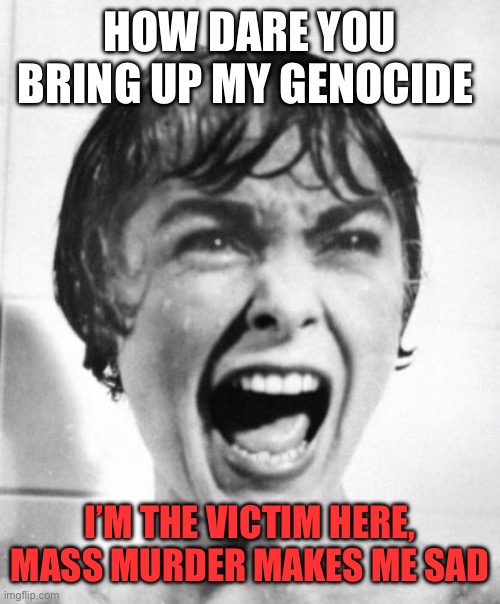 Psycho victim | HOW DARE YOU BRING UP MY GENOCIDE; I’M THE VICTIM HERE, MASS MURDER MAKES ME SAD | image tagged in psycho victim | made w/ Imgflip meme maker