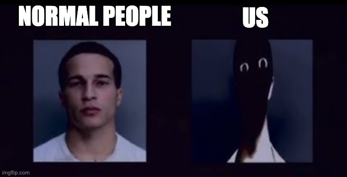 2 sides | NORMAL PEOPLE US | image tagged in 2 sides | made w/ Imgflip meme maker