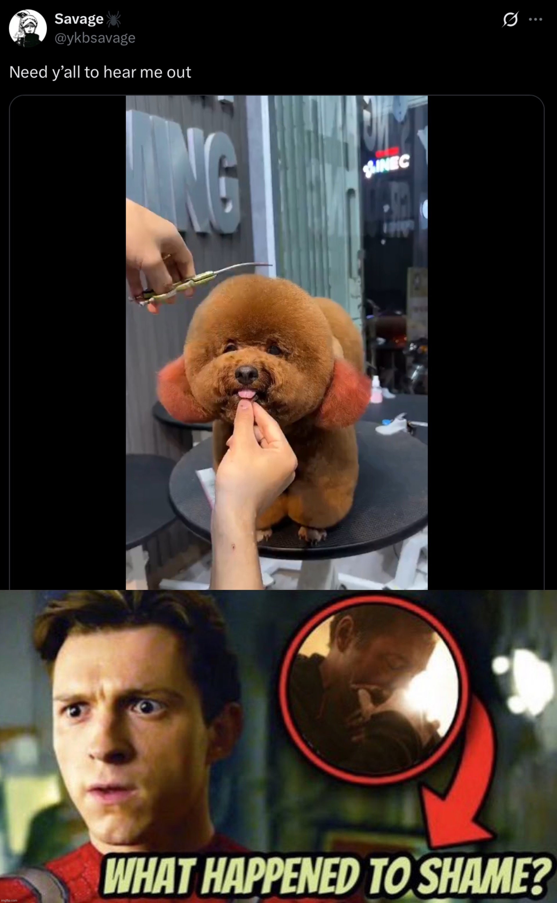 image tagged in what happened to shame | made w/ Imgflip meme maker