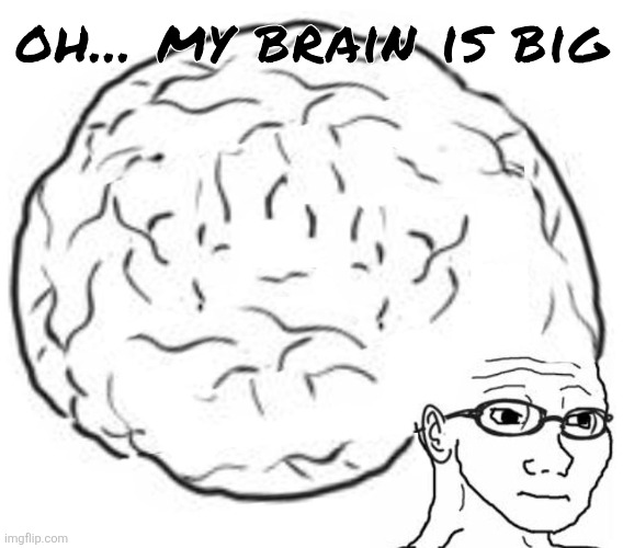 Big Brain | oh... my brain is big | image tagged in big brain | made w/ Imgflip meme maker
