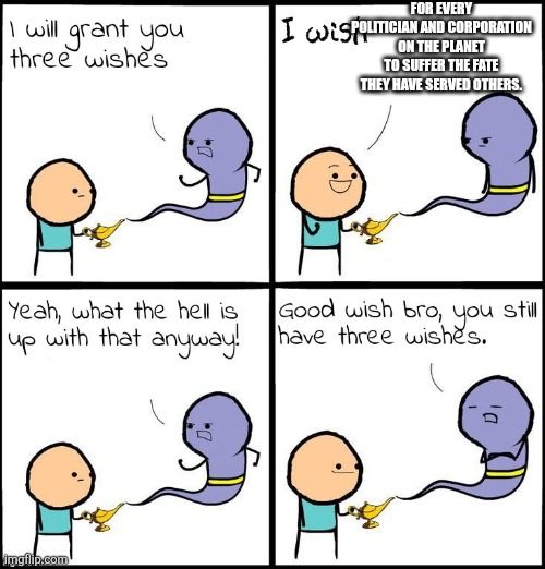 Good Wish Bro | FOR EVERY POLITICIAN AND CORPORATION ON THE PLANET TO SUFFER THE FATE THEY HAVE SERVED OTHERS. | image tagged in good wish bro | made w/ Imgflip meme maker