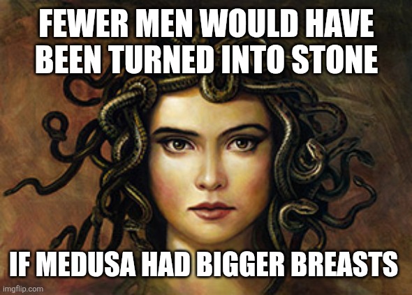 Medusa | FEWER MEN WOULD HAVE BEEN TURNED INTO STONE; IF MEDUSA HAD BIGGER BREASTS | image tagged in medusa | made w/ Imgflip meme maker