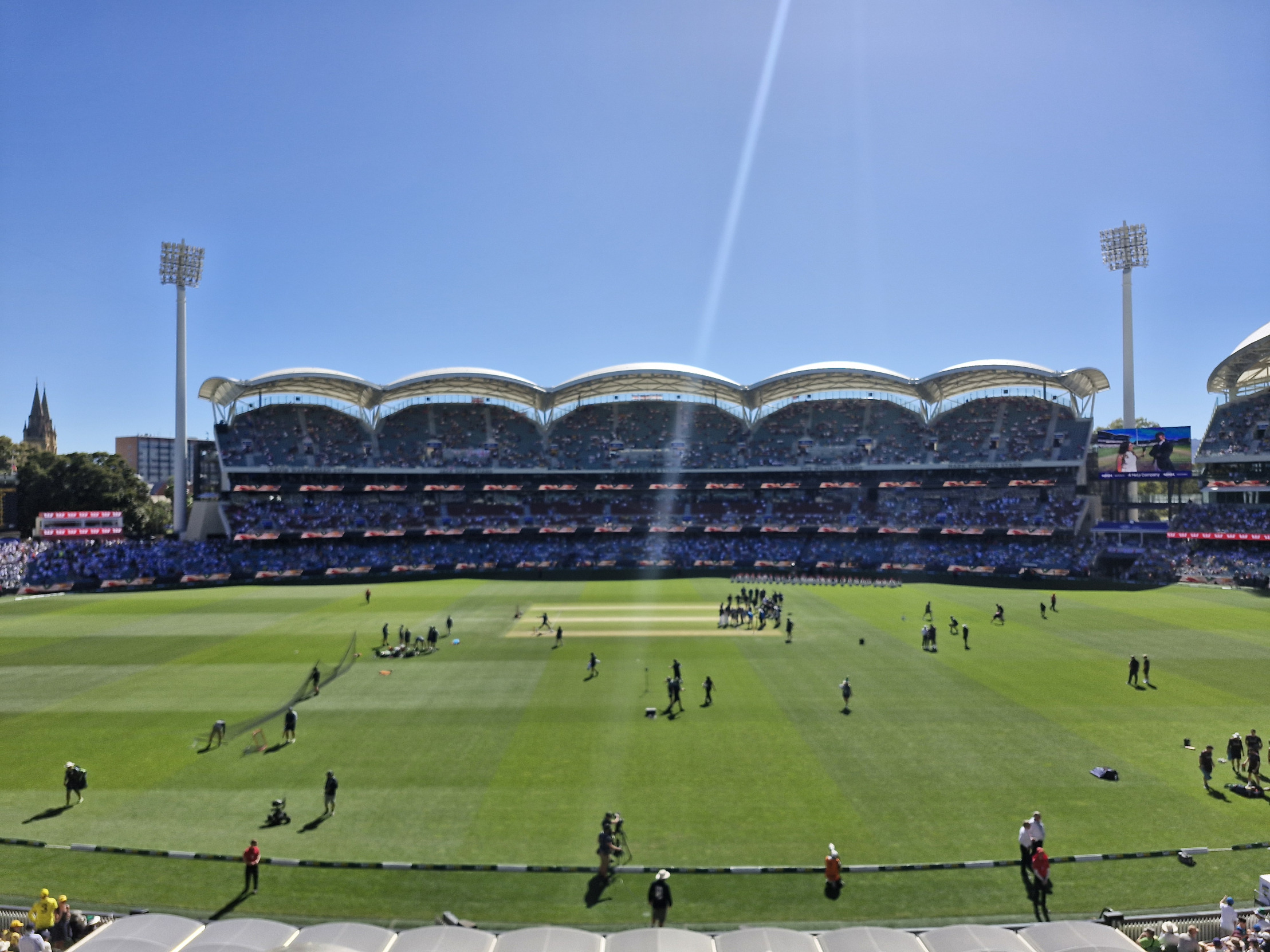 Cricket Blank Meme Template