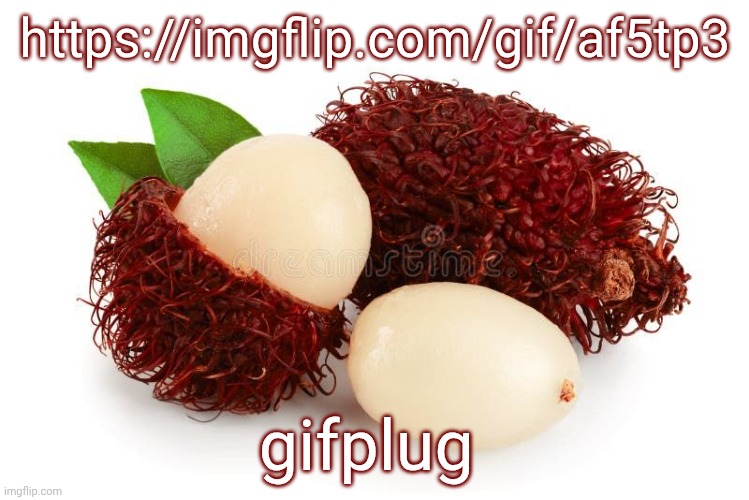 https://imgflip.com/gif/af5tp3 | https://imgflip.com/gif/af5tp3; gifplug | image tagged in rambutan | made w/ Imgflip meme maker
