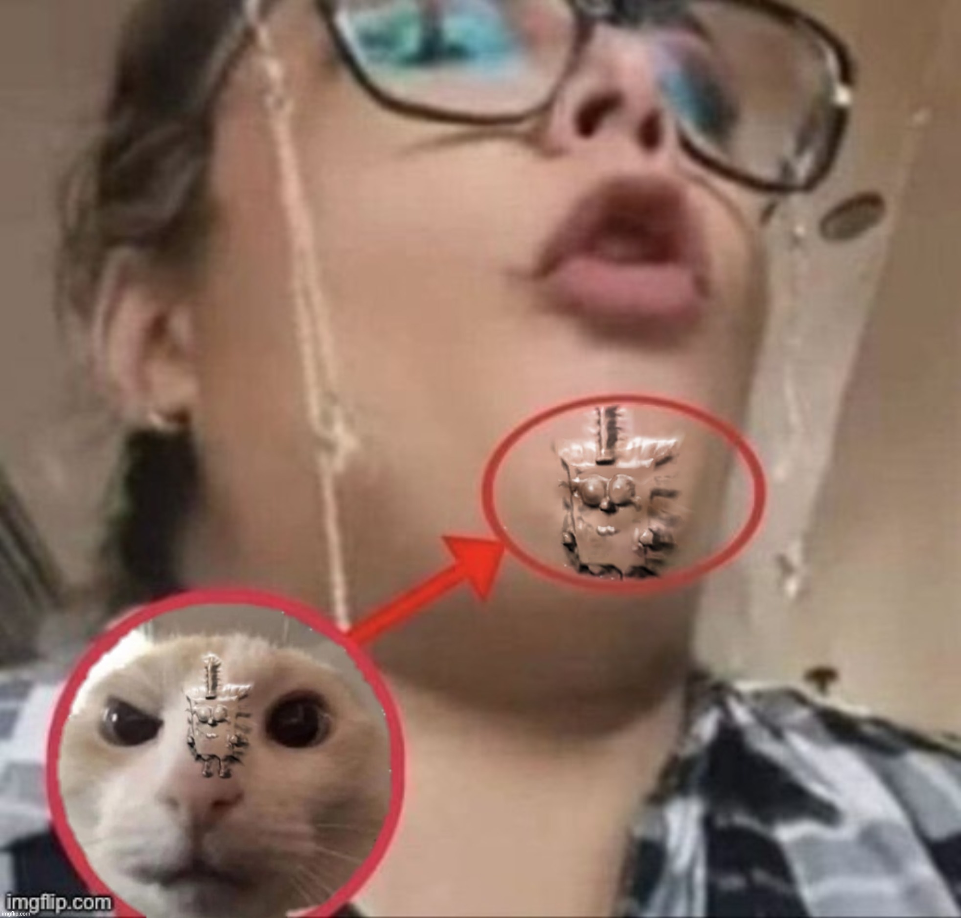 Spunch Bop | image tagged in spunch bop | made w/ Imgflip meme maker