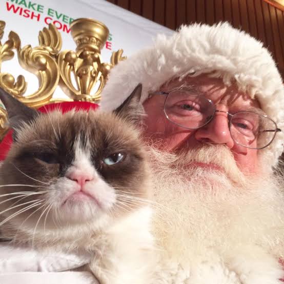 Santa grumpy cat Blank Meme Template