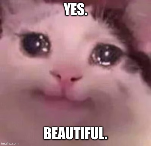 Tears of Joy Cat | YES. BEAUTIFUL. | image tagged in tears of joy cat | made w/ Imgflip meme maker