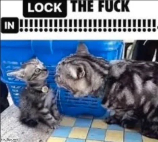 LOCK THE FUCK IN!!!!!!!!!!!!!!!!!!!!!!!!! | image tagged in lock the fuck in | made w/ Imgflip meme maker